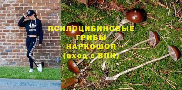 бошки Балахна