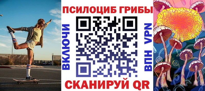 купить  сайты  Верхотурье  Псилоцибиновые грибы Psilocybe 